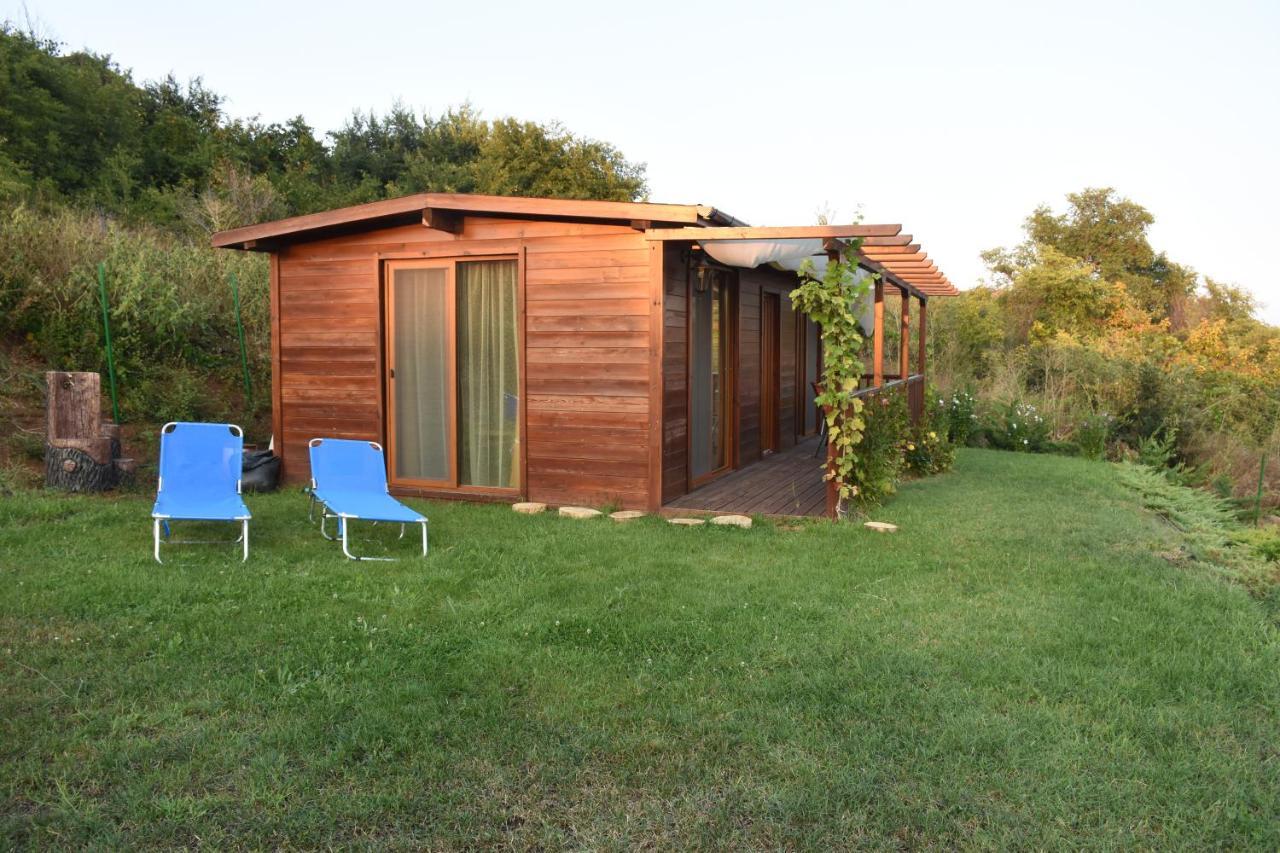 Villa Viridi Sozopol Exterior photo